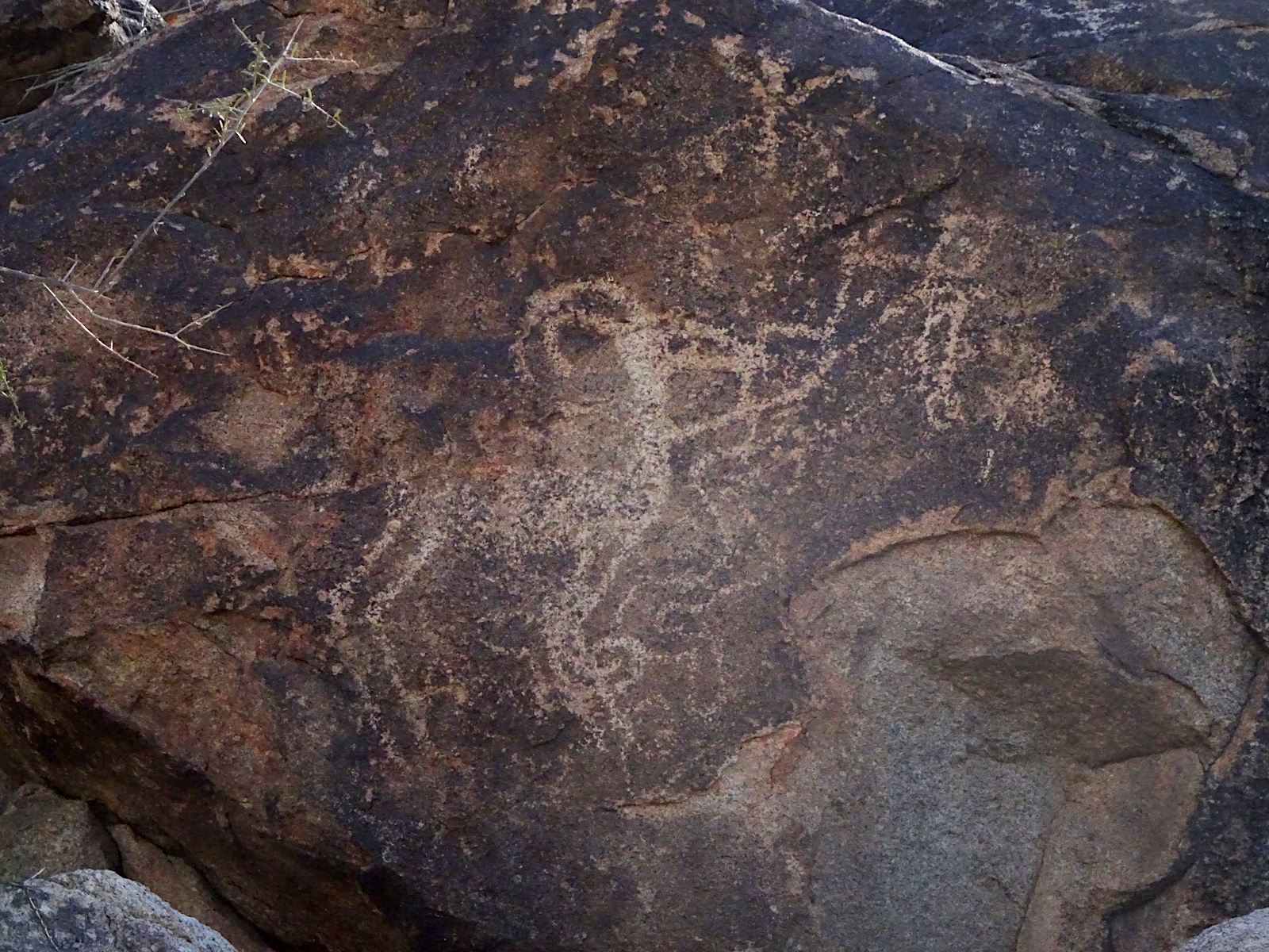 petroglyph