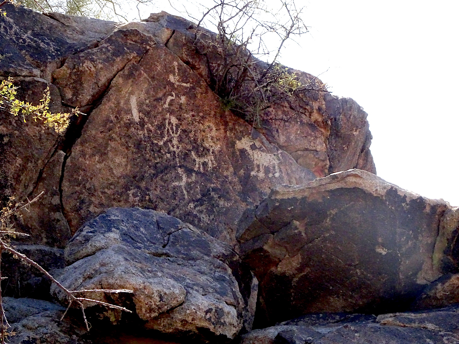 Petroglyph